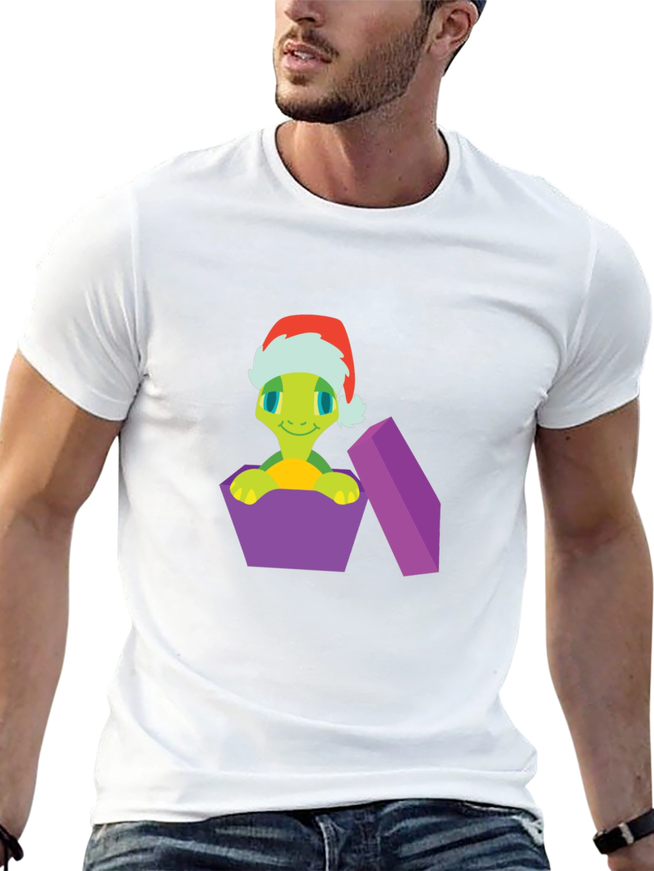 Festive Turtle Gift T-Shirt