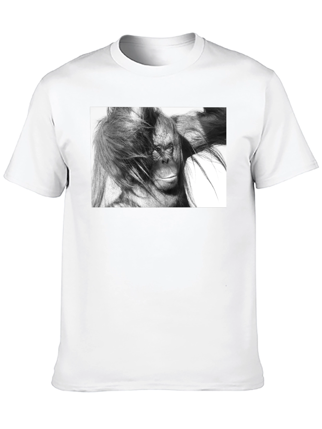 Orangutan Graphic Print Black T-Shirt