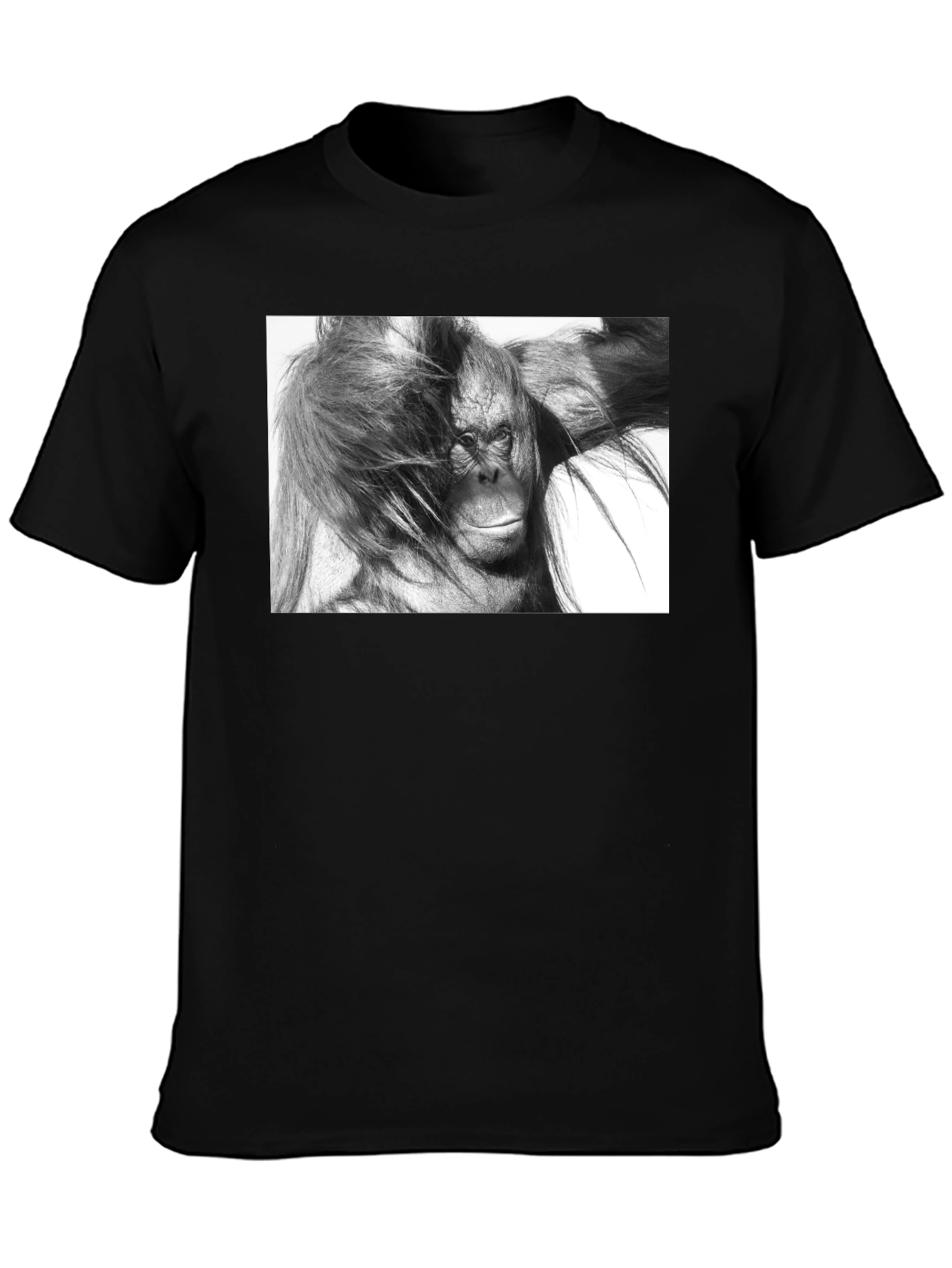 Orangutan Graphic Print Black T-Shirt
