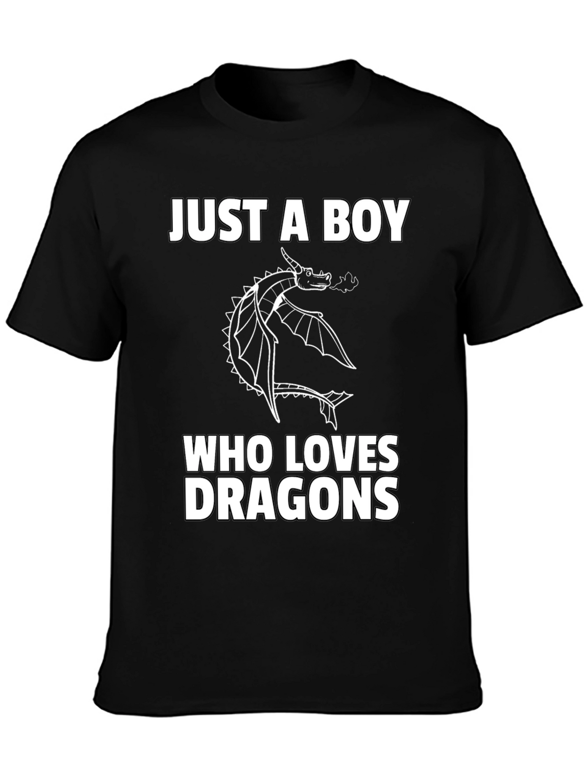 Boy Dragon Lover Graphic T-Shirt