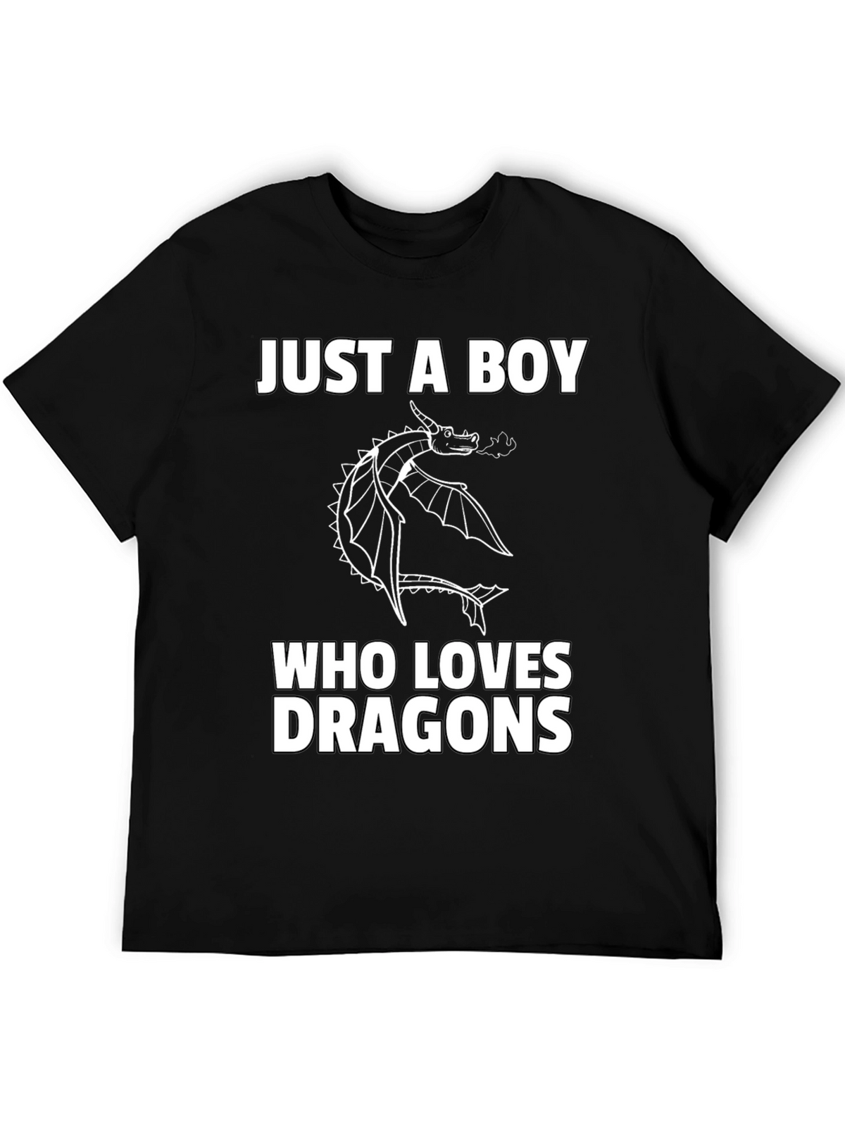 Boy Dragon Lover Graphic T-Shirt