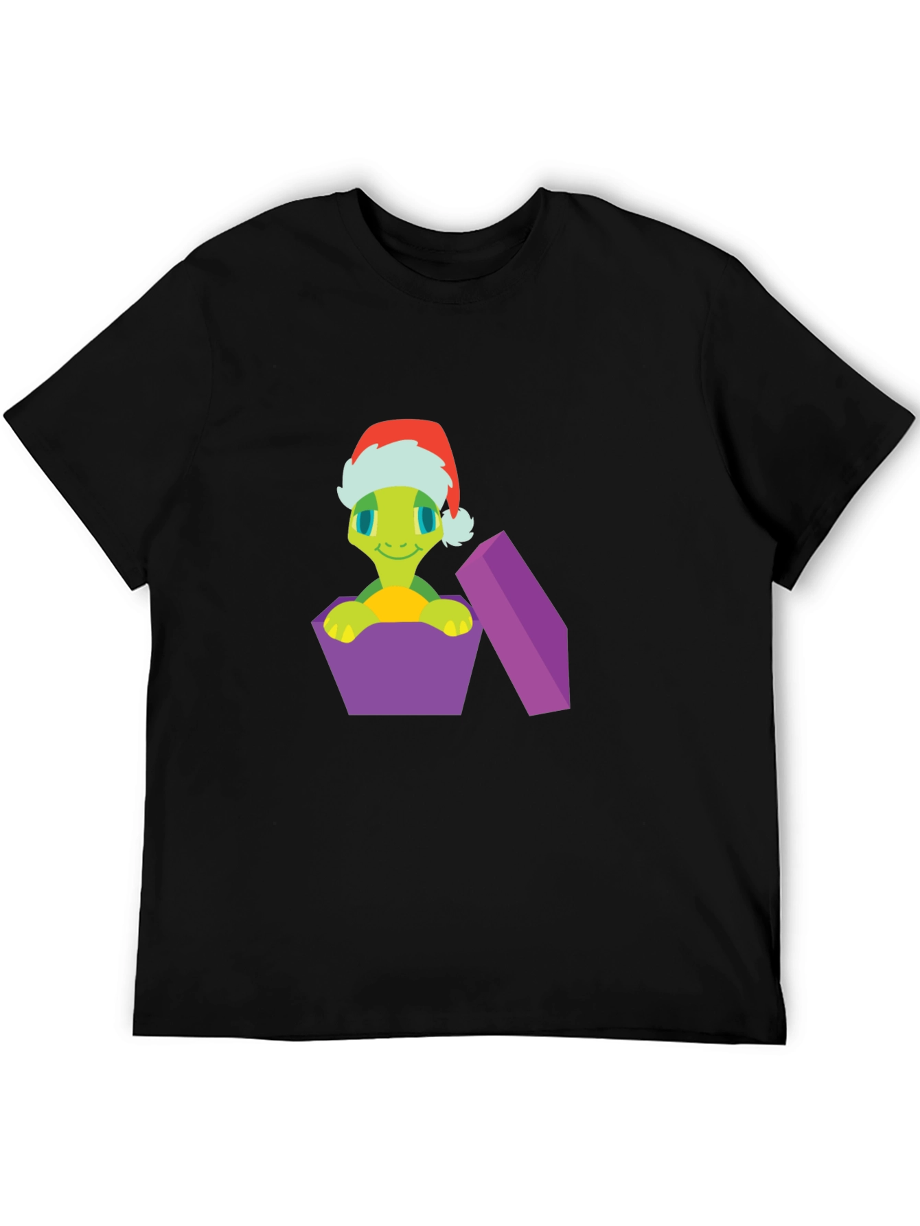 Festive Turtle Gift T-Shirt