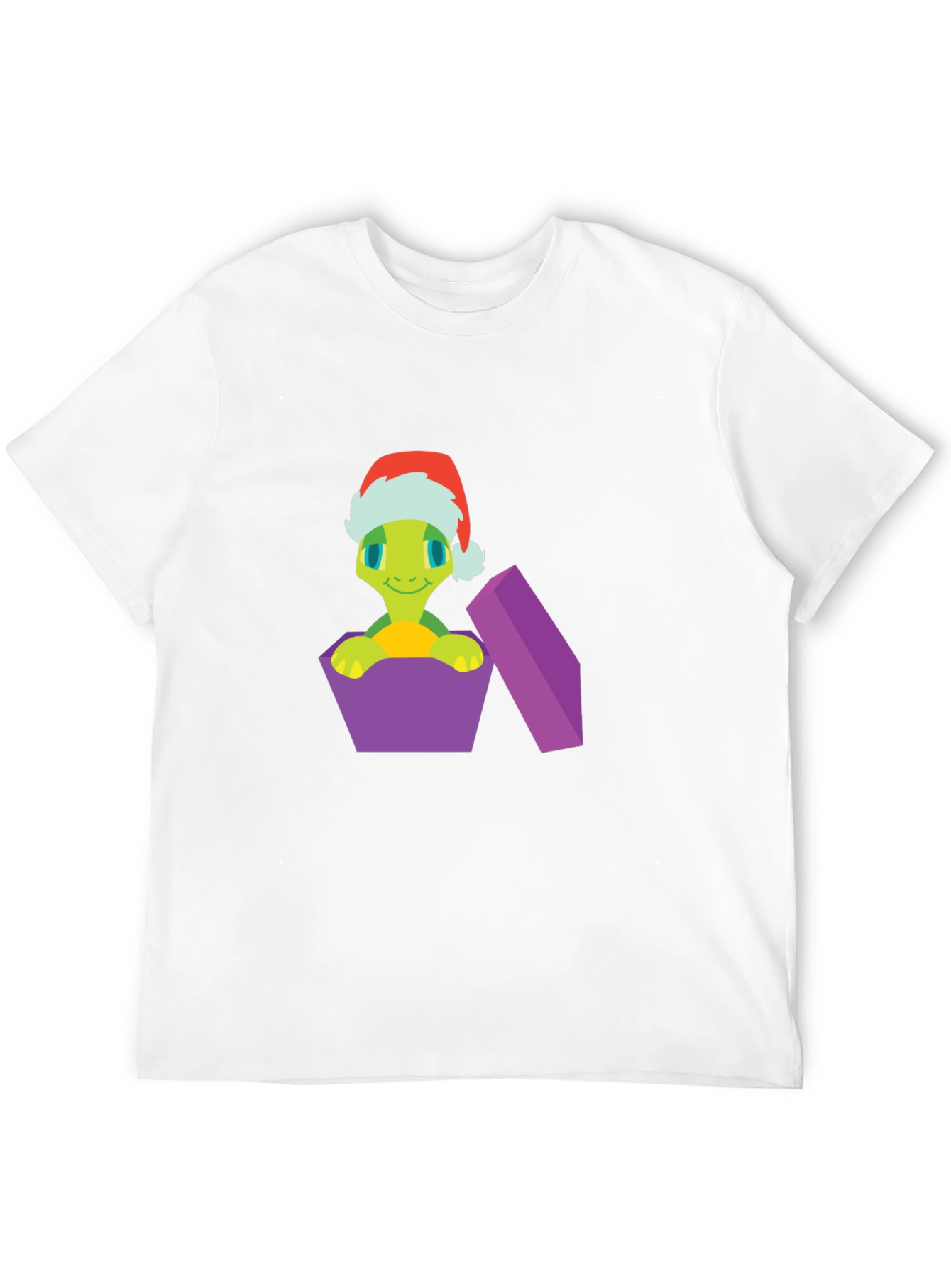 Festive Turtle Gift T-Shirt