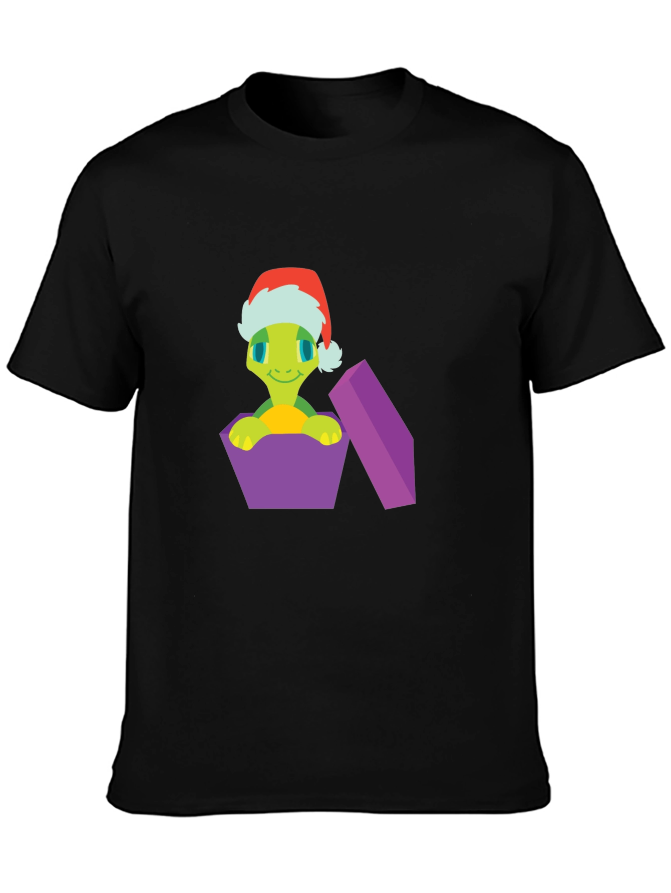 Festive Turtle Gift T-Shirt