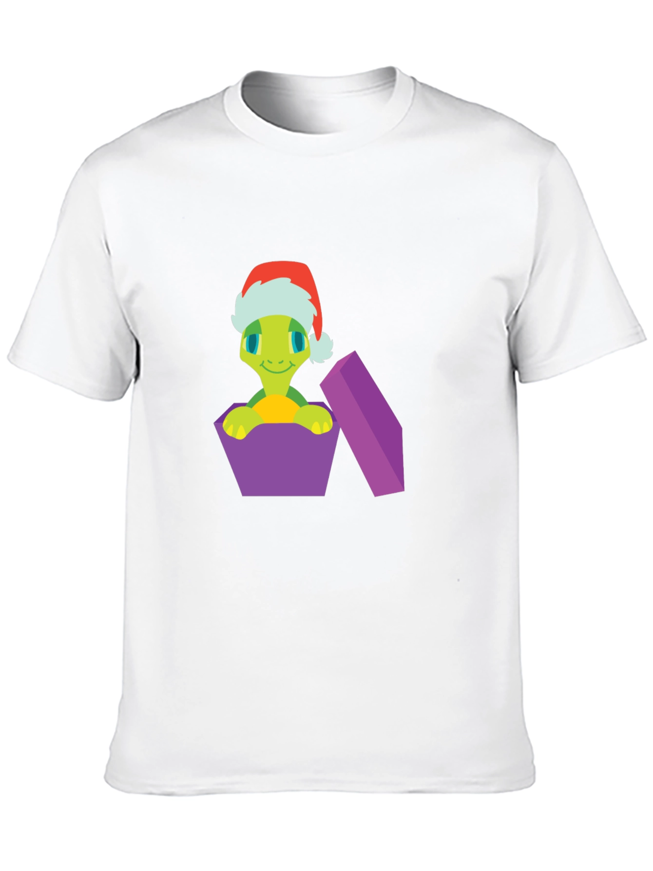 Festive Turtle Gift T-Shirt