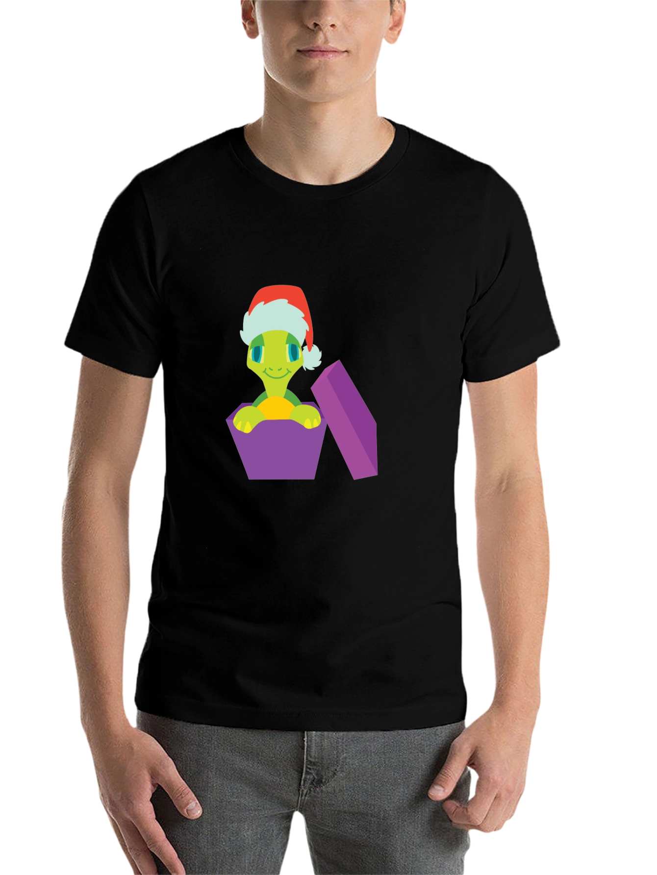 Festive Turtle Gift T-Shirt