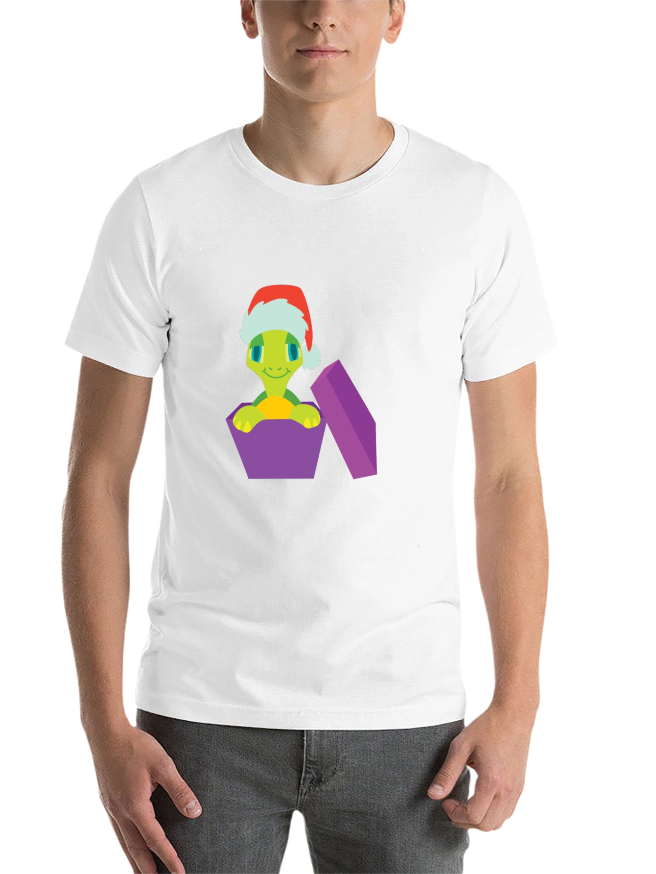 Festive Turtle Gift T-Shirt