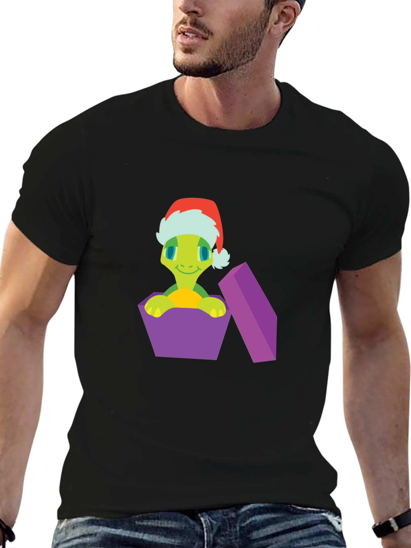 Festive Turtle Gift T-Shirt