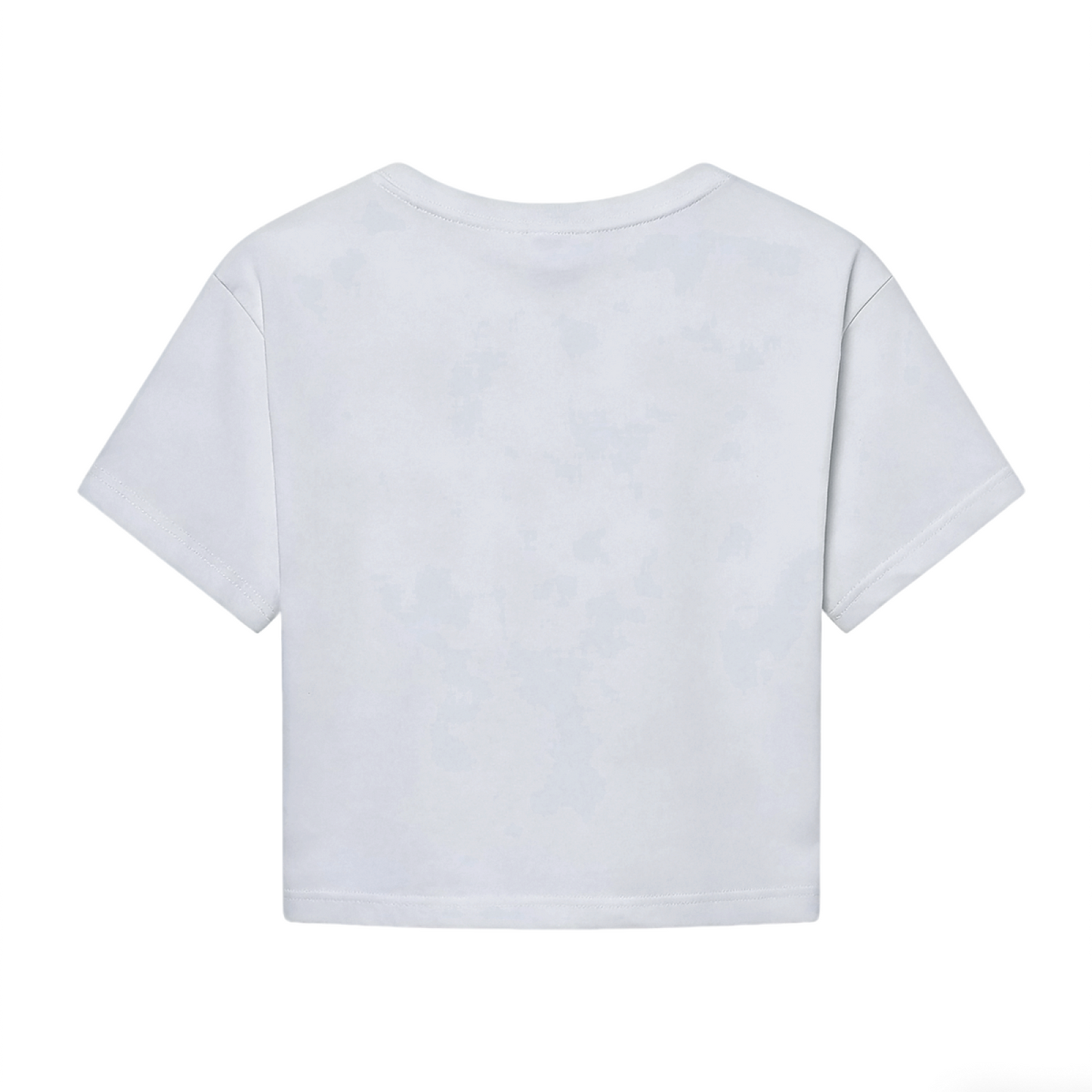 Soft Gray Cropped Tee With Watercolor Purple Rose Floral Print